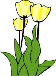 Tulip Vectors with Transparent Background: Perfect for Graphic Designers and Advertising
