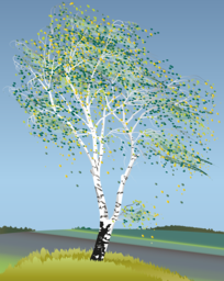 Stunning Birch Tree Illustrations with Transparent Background for Graphic Designers - Free PNG Downloads!