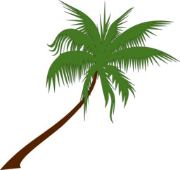 Download high-quality palm tree and coconut vector images with transparent backgrounds for graphic design and advertising