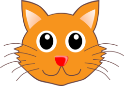 Beautiful Cat Head Portraits: Free PNG Images with Transparent Backgrounds for Graphic Designers