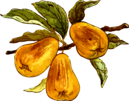 Free Vector Images of Branches and Fruits for Graphic Design and Advertising