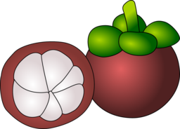 Get the Best Mangostein Fruit PNG Images with Transparent Background for Free Download