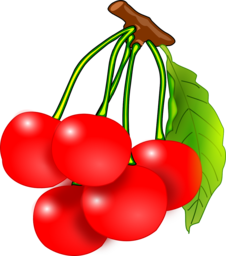 Discover the Juicy Goodness of Free Cherry PNG Images with Transparent Backgrounds for your Graphic Design Needs!