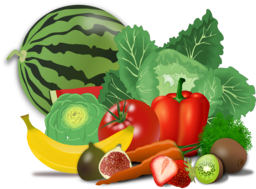 Discover the Best Vector Fruit and Vegetable PNG Images with Transparent Backgrounds - Free Download Now! | Free PNG Image