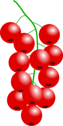 High-Quality Vector PNG Images of Juicy Currants and Cranberries with Transparent Background for Graphic Designers