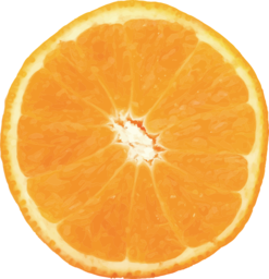 Download High-Quality Orange Vector Images with Transparent Backgrounds for Graphic Design and Advertising
