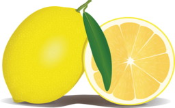 Delicious and Vibrant Citrus PNG Images for Mouthwatering Food and Cooking Designs