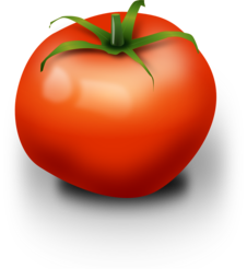 Get creative with free tomato PNG images on a transparent background for graphic design