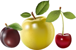 Fruit and Berry Vector PNG Images with Transparent Background - Perfect for Graphic Design and Advertising!