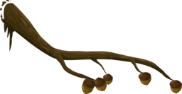Find High-Quality Tree and Fruit PNG Images with Transparent Background for Free Download