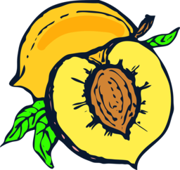 Sliced Peaches in Vector Format: Free PNG Images with Transparent Background for Graphic Design and Advertising