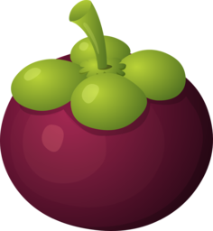 Beautifully Delicious Berry and Fruit PNG Images for Graphic Designers