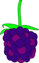 Free and Transparent Blackberry PNG Images for Your Graphic Design Projects