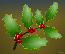 Stunning PNG Berry Images with Transparent Background for Your Celebration Graphics and Designs