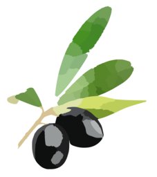 Free PNG Images with Transparent Background for Graphic Design: Olives, Plum, Berries and More