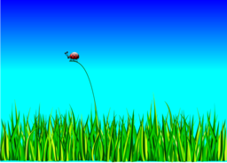  | Free PNG Image