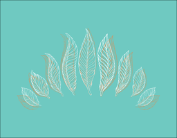 Beautiful and Versatile Bird Illustrations with Transparent Background: Free PNG Downloads for Graphics and Design