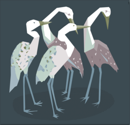 Stunning Bird and Heron Images: Free PNG Downloads with Transparent Backgrounds for Graphic Design Projects