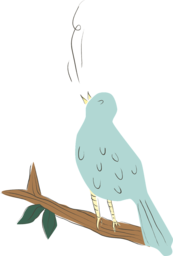 Bird PNG Images with Transparent Background for Graphic Design and Advertising