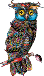 Get Creative with Stunning Owl and Bird PNG Images on Transparent Backgrounds for Graphic Design!