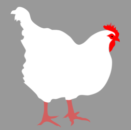Explore a Creative World of Animal and Bird PNG Images with Transparent Background for Your Graphic Design Needs