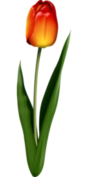  | Free PNG Image