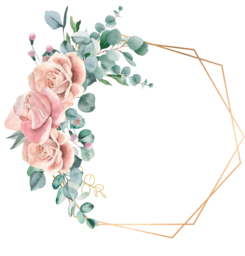 Beautiful Floral Graphics: Free PNG Images with Transparent Backgrounds
