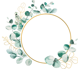 Stunning PNG Images with Transparent Background for Graphic Design, Advertising, and More!