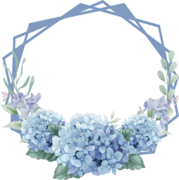 Get Creative with Free Floral PNG Frames for Graphic Design and Advertising