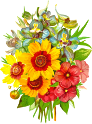  | Free PNG Image