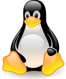 Penguin & Bird Vector Images with Transparent Background: Free Download for Graphic Design & Advertising