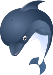 Stunning Dolphin PNG Images with Transparent Background - Free Downloads for Graphic Designers!