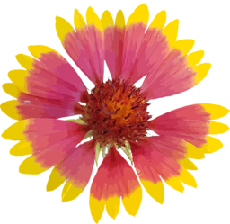 Discover Stunning Free PNG Art and Flower Vectors with Transparent Backgrounds!