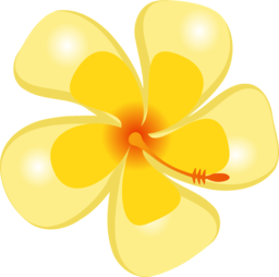 Tropical Hibiscus Flower PNG Images for Graphic Design with Transparent Background - Free Download