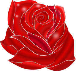 Free Beautiful Flower PNG Images with Transparent Background for Graphic Design and Advertising