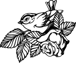 Free Bird and Flower Vector PNG Images with Transparent Background for Graphic Design and Advertising