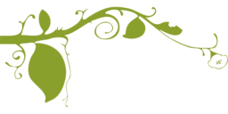 Beautiful Floral and Green Vector PNG Images with Transparent Backgrounds - Perfect for Graphic Design and Advertising