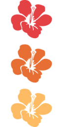 Beautiful Floral Vector Graphics with Transparent Background - Free Download PNG Images