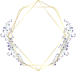 Find Stunning PNG Images with Transparent Background and Frame for Graphic Design