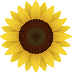 Stunningly Beautiful Flower PNG Images with Transparent Background - Free Download for Graphic Designers, Advertising and Banners