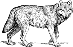  | Free PNG Image