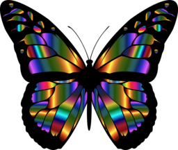 High-quality PNG animal and abstract art vectors with transparent backgrounds – free download for graphic design