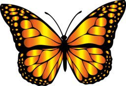 Colorful Animal and Butterfly Vector PNG Images with Transparent Background - Free Download
