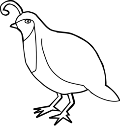  | Free PNG Image