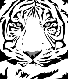 Get Roaring with our Free Tiger Pattern PNGs: Vector Images with Transparent Backgrounds for Graphic Design