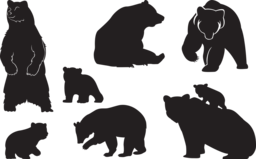 Beautiful Bear and Cub Images with Transparent Backgrounds - Free PNG Downloads for Designers
