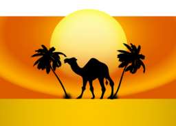  | Free PNG Image