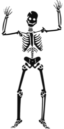 Spooky Skeletons and Witches: Download Free PNG Images with Transparent Backgrounds for Halloween Graphics and Design