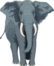  | Free PNG Image