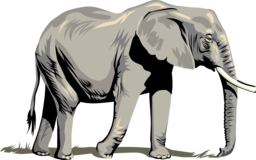 Free Transparent Elephant PNG Images for Graphic Designs and Advertising